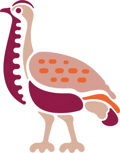 طائر الحبارى